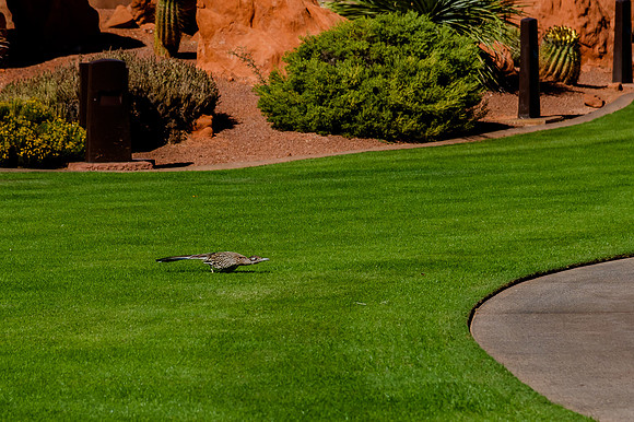 Wedding at Entrada29887