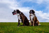 Stark_DSC0207