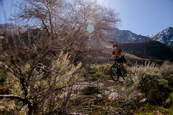 Velo 202138402