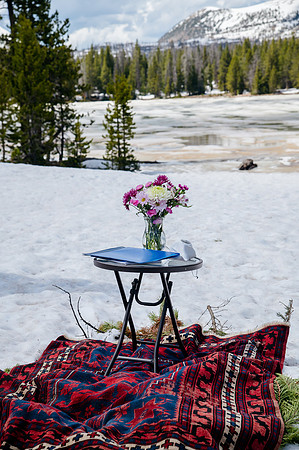 now in June: Megan Collins and Seth Underwood's Mountain Wedding