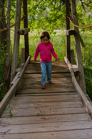 Wheeler Farm-2266