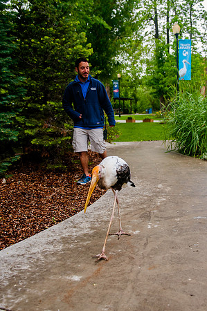 Family Outing at Tracey Aviary-1764