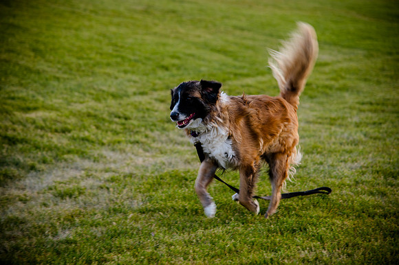 Stark_DSC1404