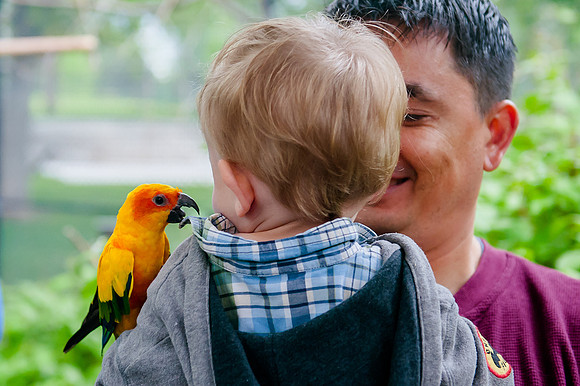 Family Outing at Tracey Aviary-1625