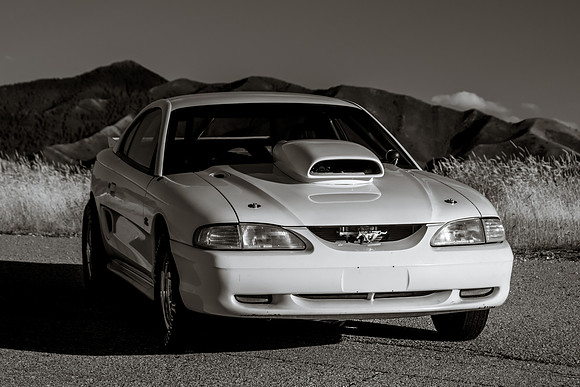 Race Car Mustang-1617