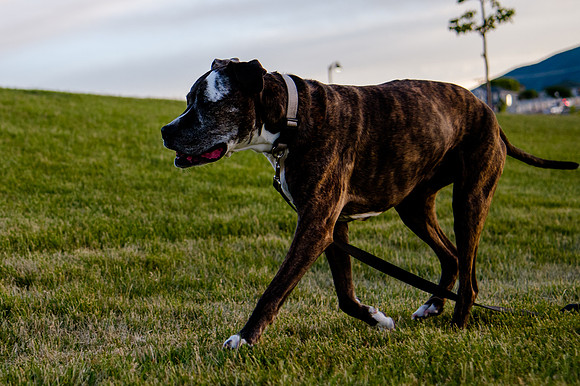 Stark_DSC1490