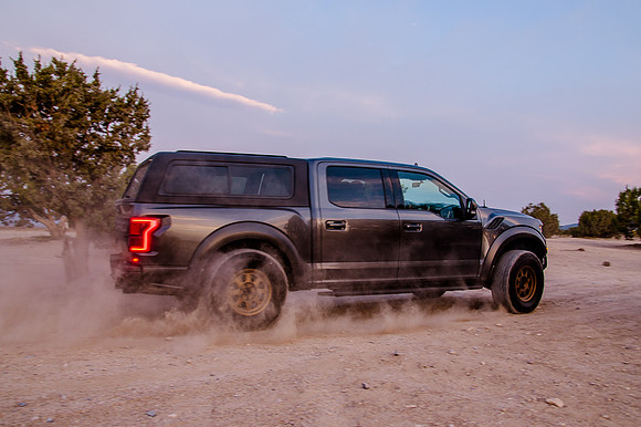 Raptor68446
