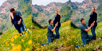 Emily and Ken-4558b