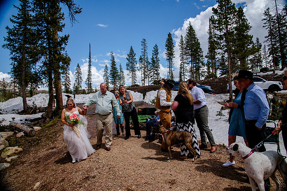 now in June: Megan Collins and Seth Underwood's Mountain Wedding