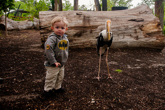 Family Outing at Tracey Aviary-1775