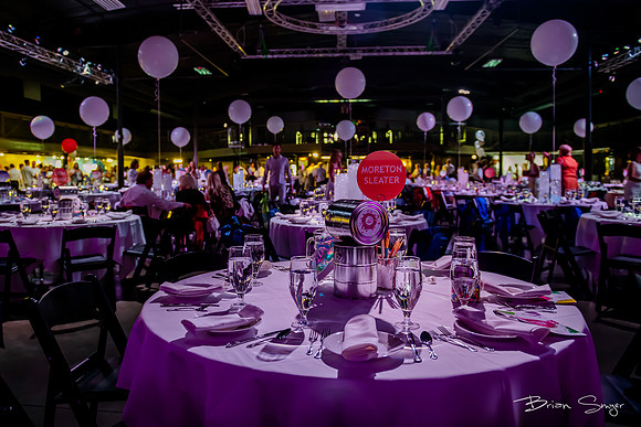 Girls on the Run Sneaker Soiree Fundraiser 2019_DSC9930