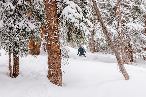 4-12-2022108986