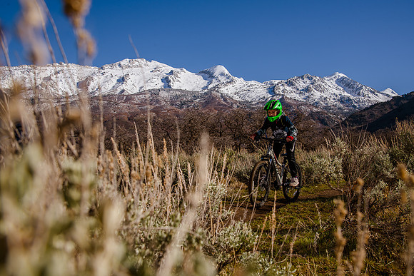 Velo 202138253