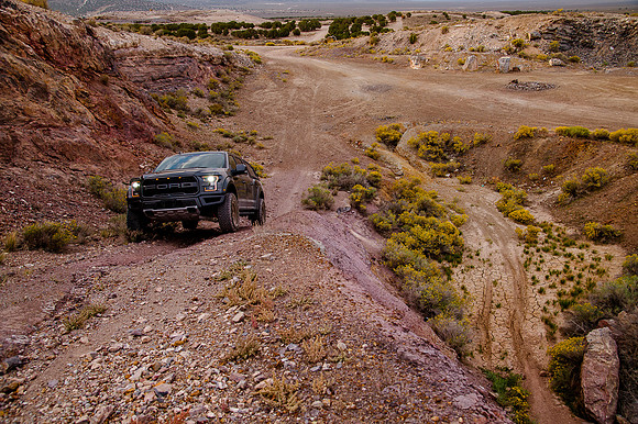 Raptor68875
