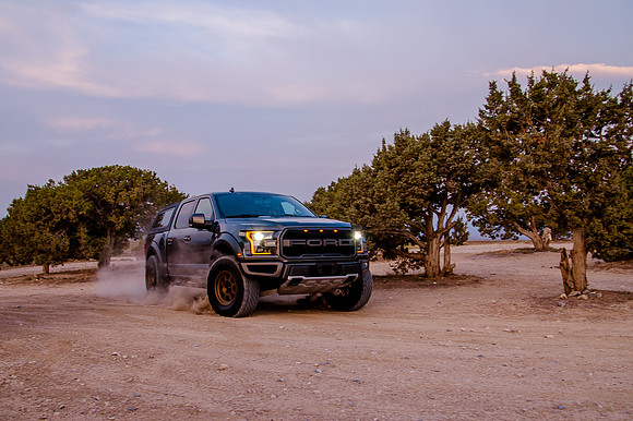 Raptor68438