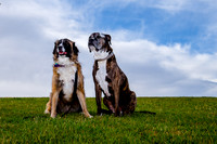 Stark_DSC0189