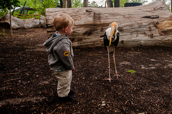 Family Outing at Tracey Aviary-1773