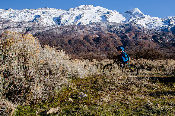 Velo 202138055