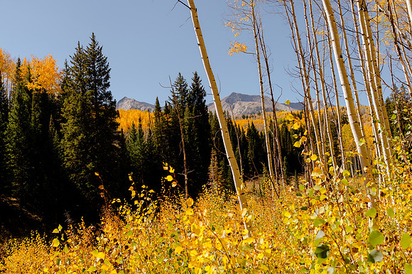 One Year of Skateboarding: A Road Trip Through Colorado’s Skate Parks and Scenic Wilderness
