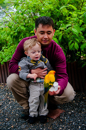 Family Outing at Tracey Aviary-1509
