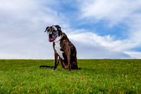 Stark_DSC0242