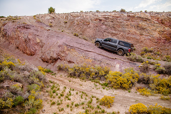 Raptor68751