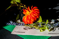 Mad Hatter's Tea Party112081