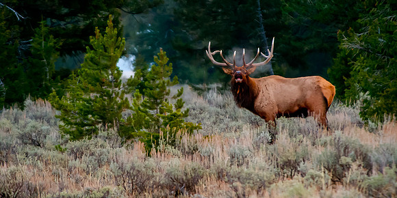 Tetons 779-Edit