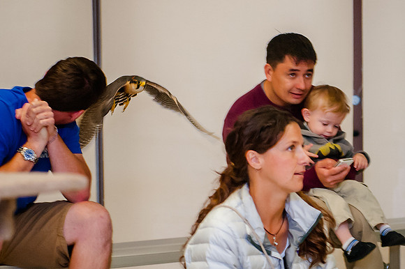 Family Outing at Tracey Aviary-2020