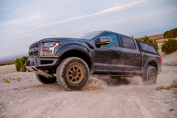 Raptor68734