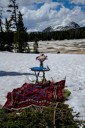 now in June: Megan Collins and Seth Underwood's Mountain Wedding