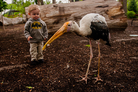 Family Outing at Tracey Aviary-1783