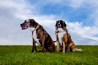 Stark_DSC0206