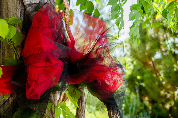 Joe and Jana wedding day-9584