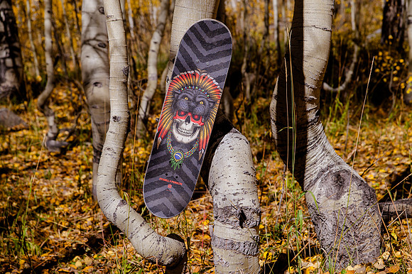 One Year of Skateboarding: A Road Trip Through Colorado’s Skate Parks and Scenic Wilderness