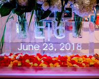 Pierpont Place Wedding at Natural History Museum 8870