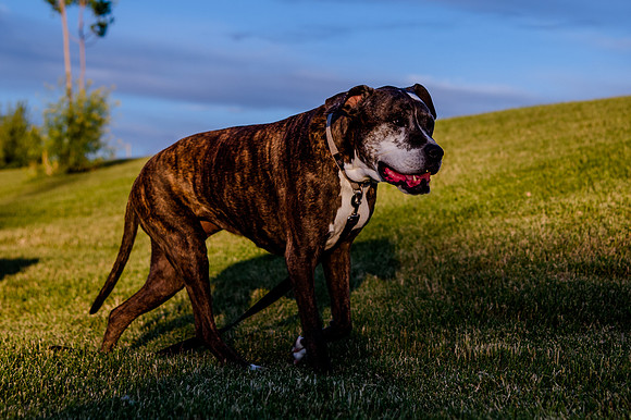 Stark_DSC1014