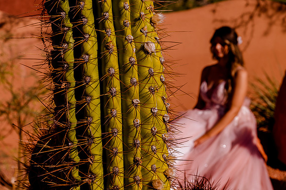 Wedding at Entrada30406
