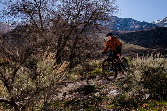 Velo 202138411