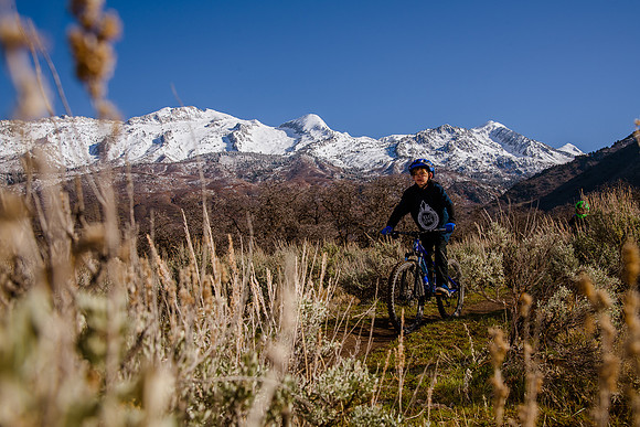 Velo 202138252