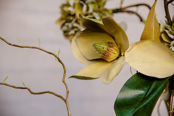 Pierpont Place Wedding at Natural History Museum 8983