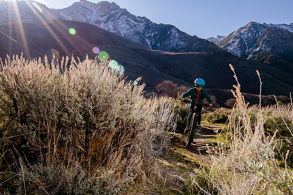 Velo 202138152