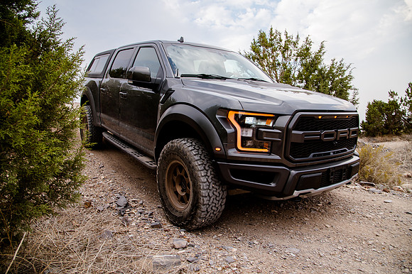 Raptor69135