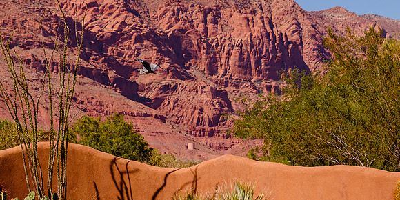 Wedding at Entrada29820