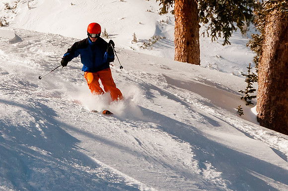 Navigation the powder through the trees at Snowbird