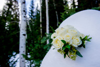 First Look Blake and Shauna-4634