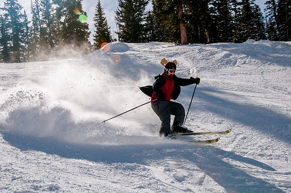 Moose Skiing