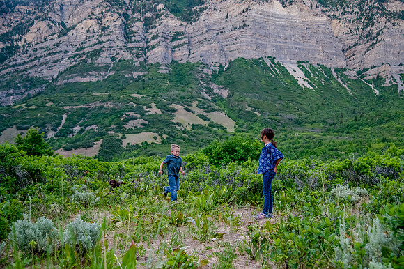 Provo Canyon 6-25-20207925