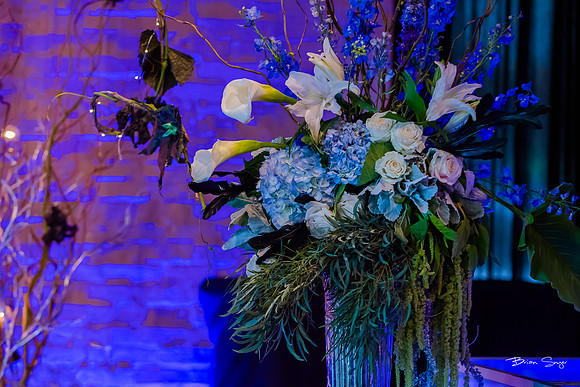 George and Jana's wedding at Monaco Hotel and Pierpont Place-1375