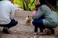 Family Bliss: Fall Portraits Amidst Nature's Beauty at Memory Grove and the Utah Capitol